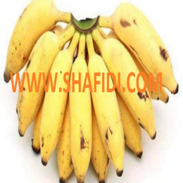 SBJEI-FRESH GERASUNDARI BANANA